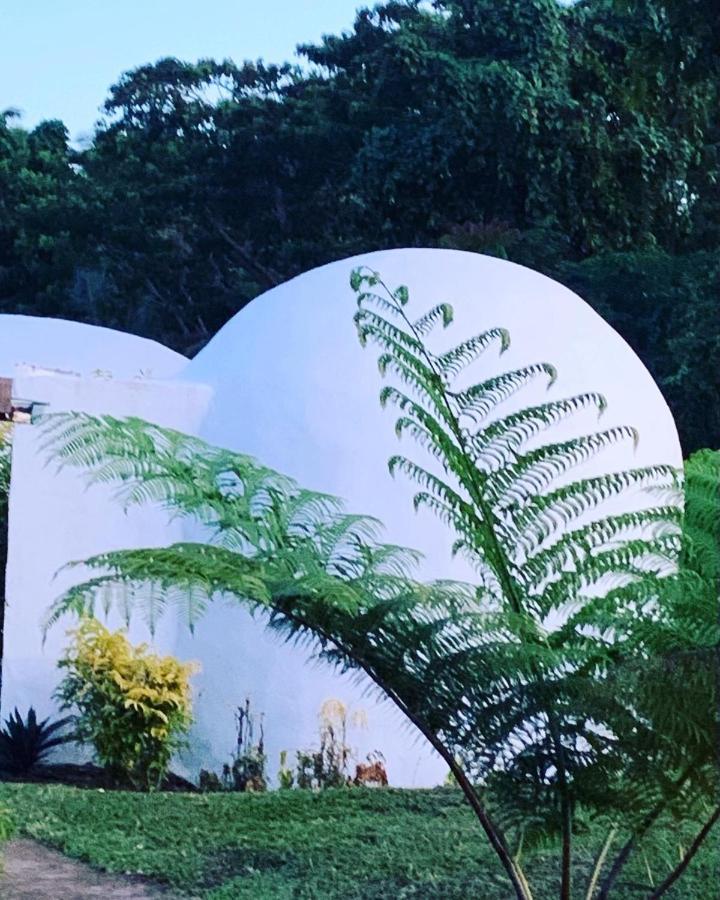 Camp Taveuni Hostel มาเตย์ ภายนอก รูปภาพ