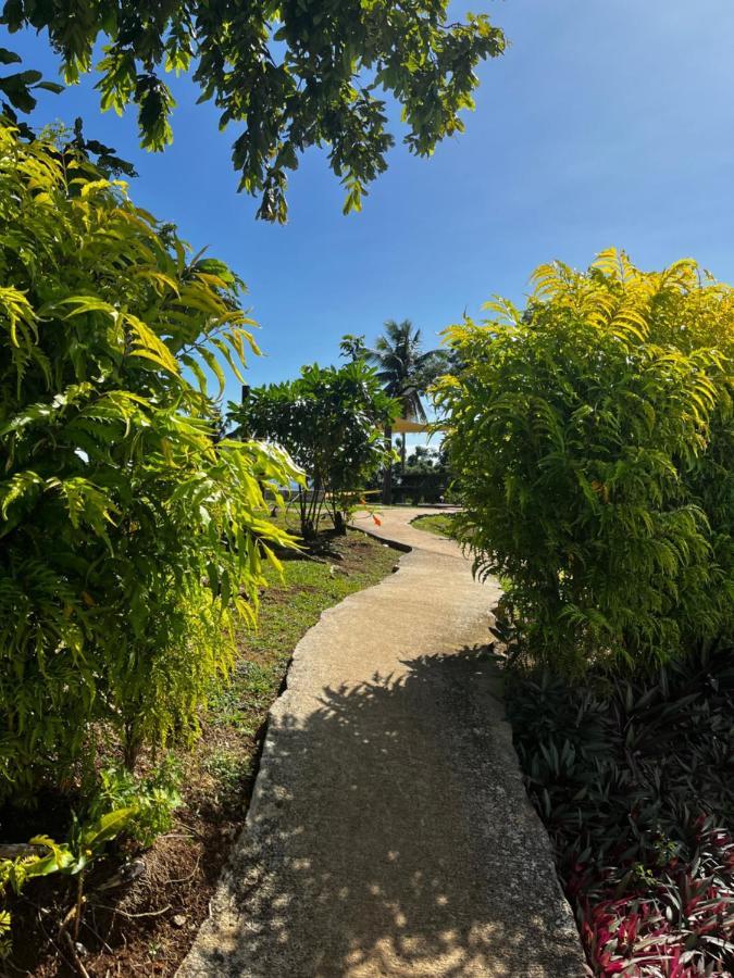 Camp Taveuni Hostel มาเตย์ ภายนอก รูปภาพ