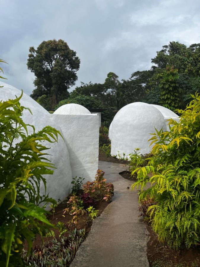 Camp Taveuni Hostel มาเตย์ ภายนอก รูปภาพ
