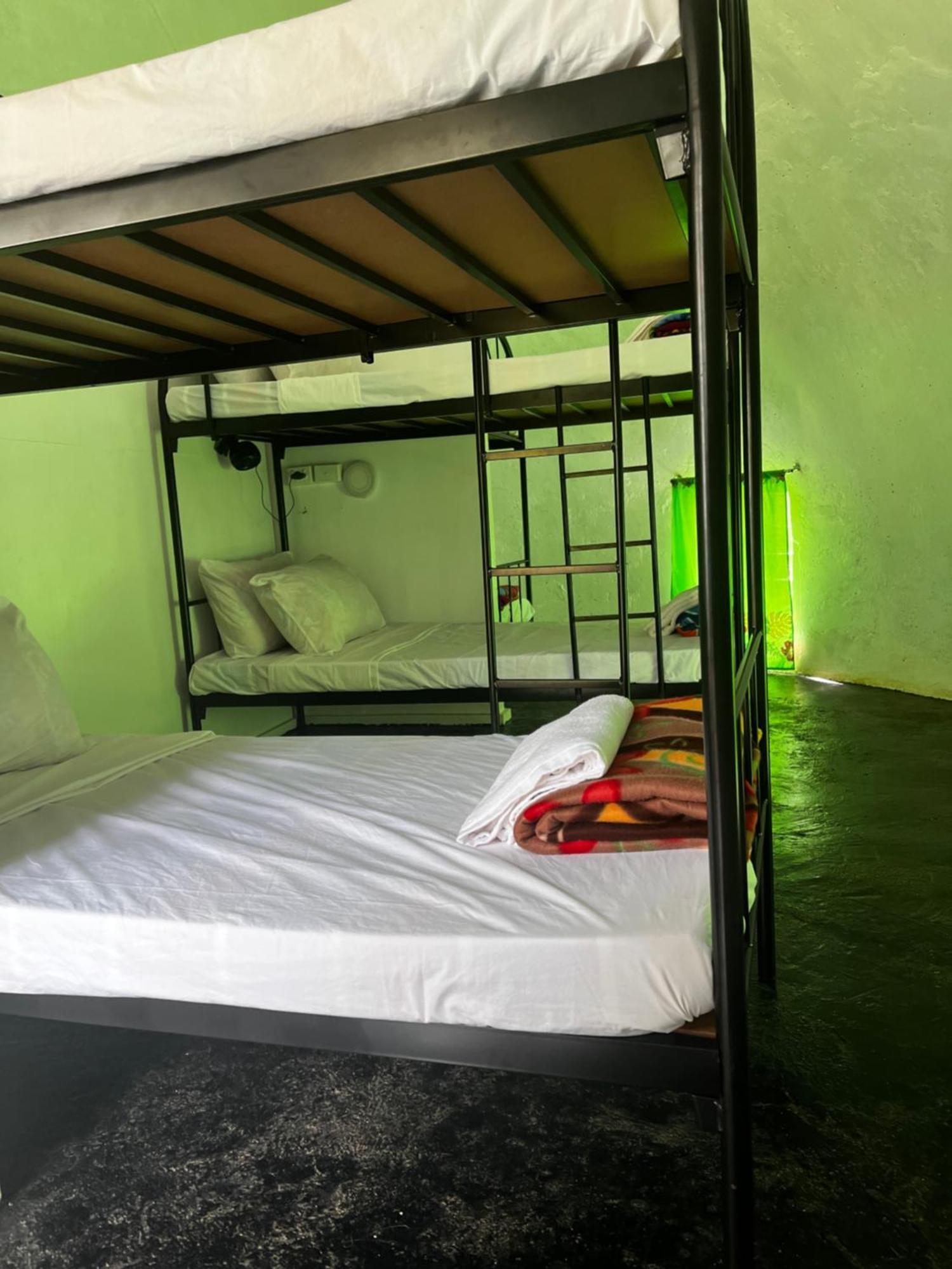 Camp Taveuni Hostel มาเตย์ ภายนอก รูปภาพ